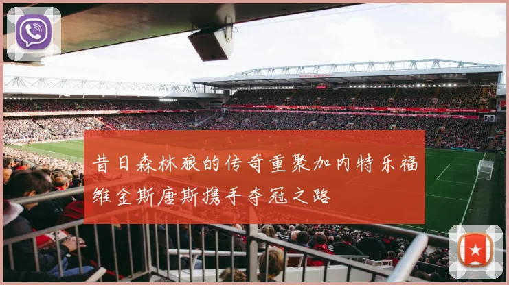 昔日森林狼的传奇重聚加内特乐福维金斯唐斯携手夺冠之路